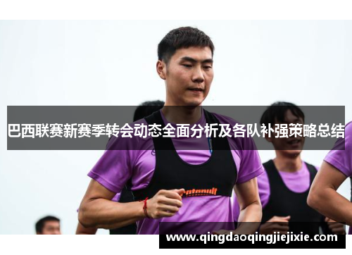 巴西联赛新赛季转会动态全面分析及各队补强策略总结 巴西联赛新赛季转会动态全面分析及各队补强策略总结