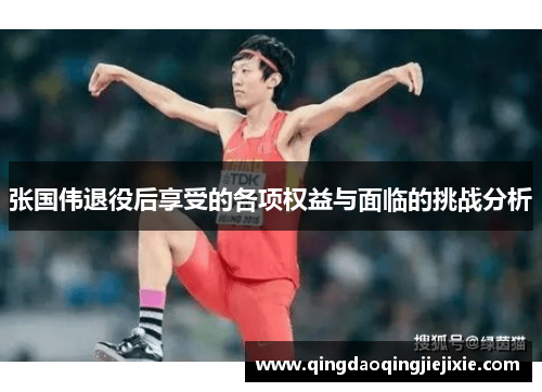 张国伟退役后享受的各项权益与面临的挑战分析