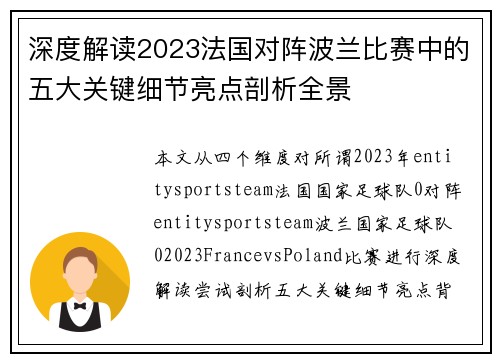 深度解读2023法国对阵波兰比赛中的五大关键细节亮点剖析全景